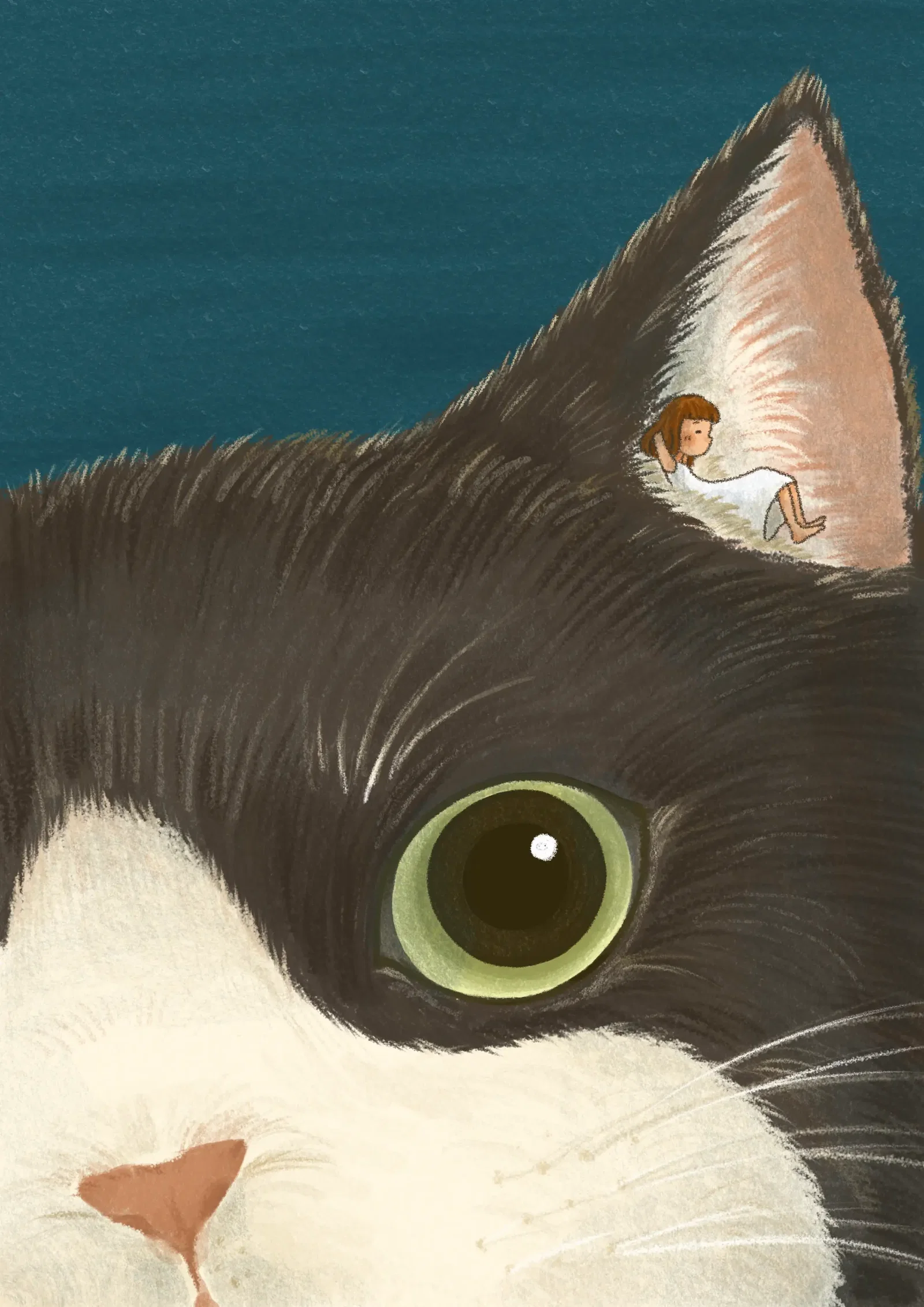 Illustration project by Yung-Hsien Lee