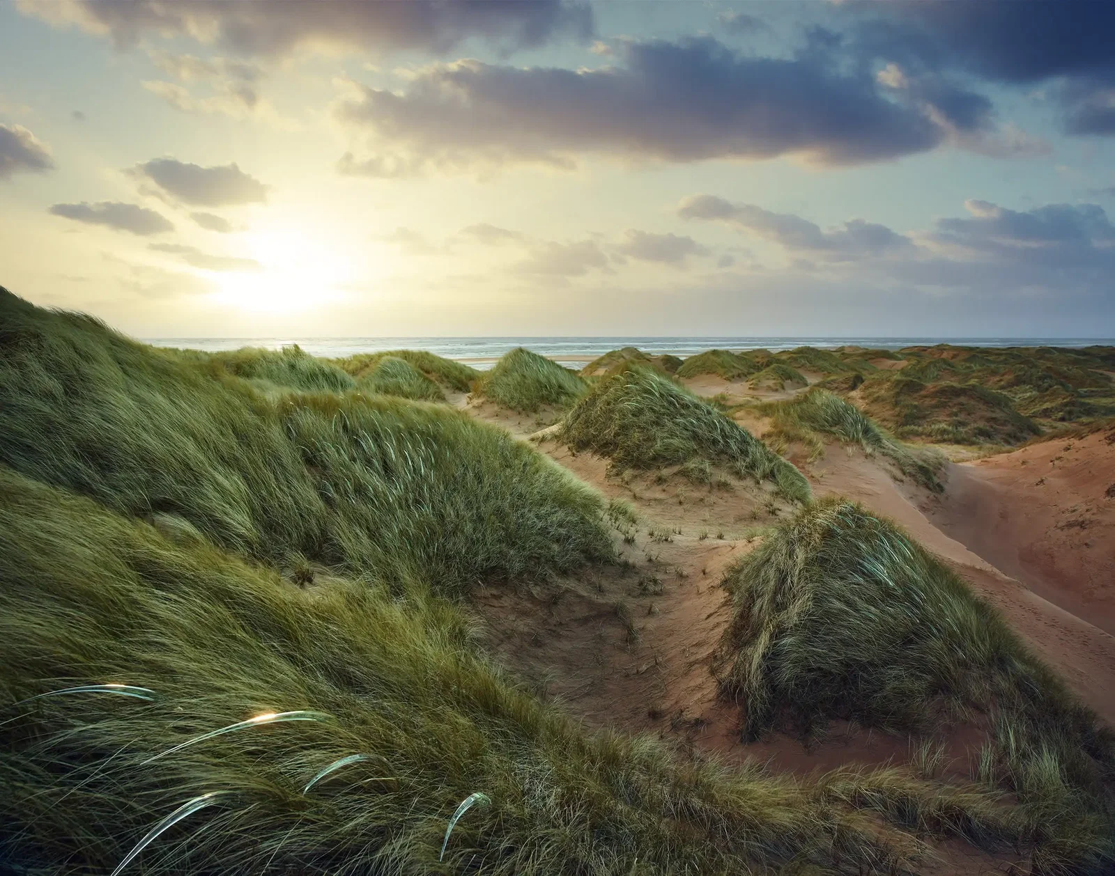 Photography project by Andy Glass