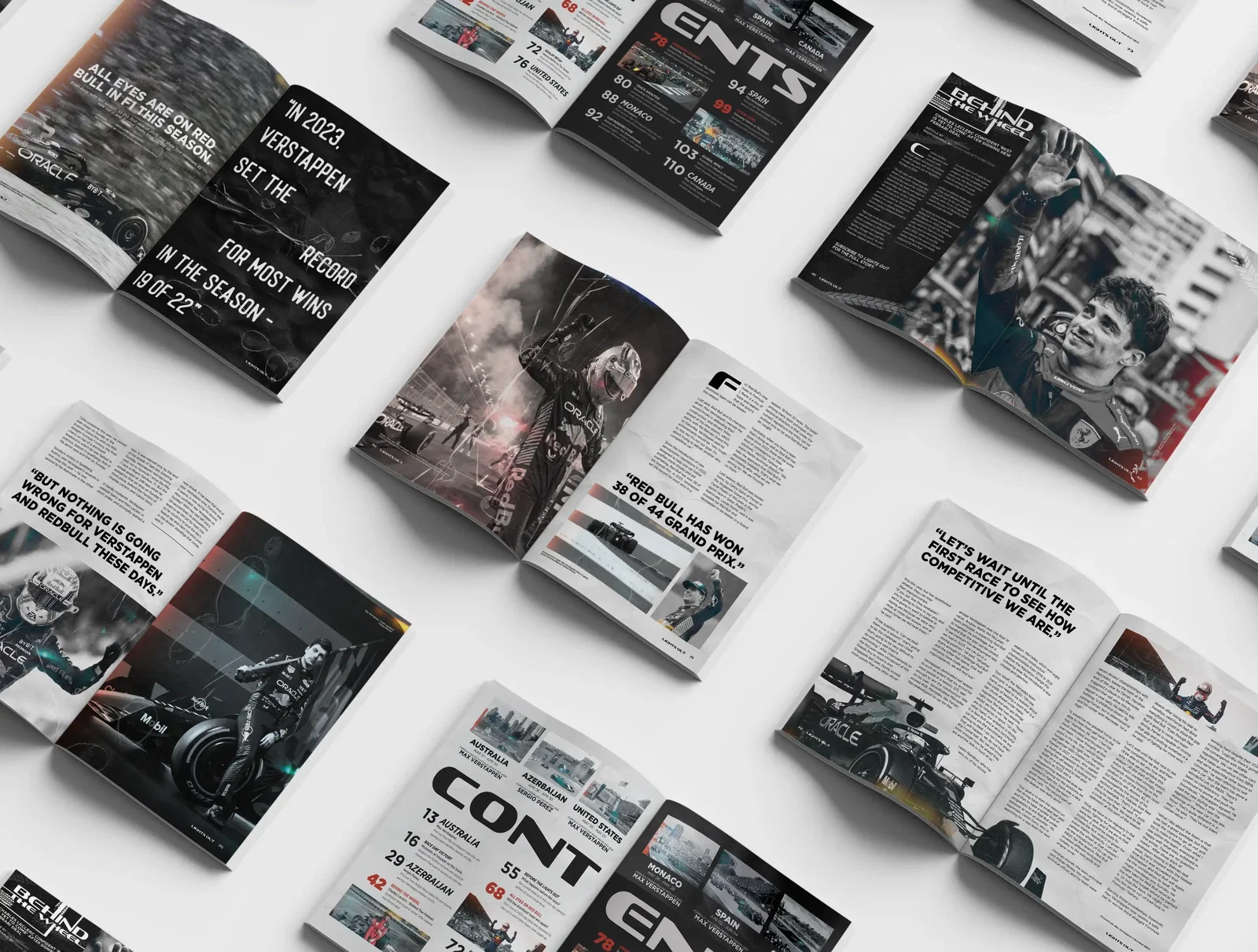 Graphic Design project by Bri Castillo