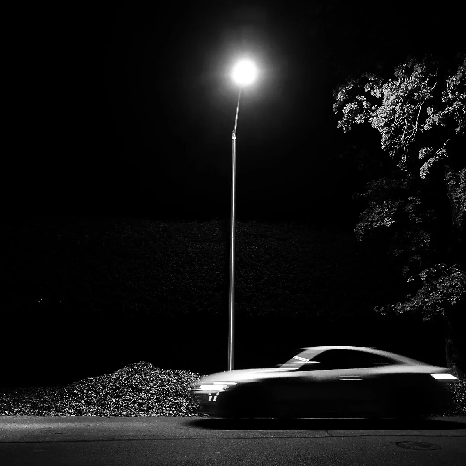 Photography project by Trevor Messersmith