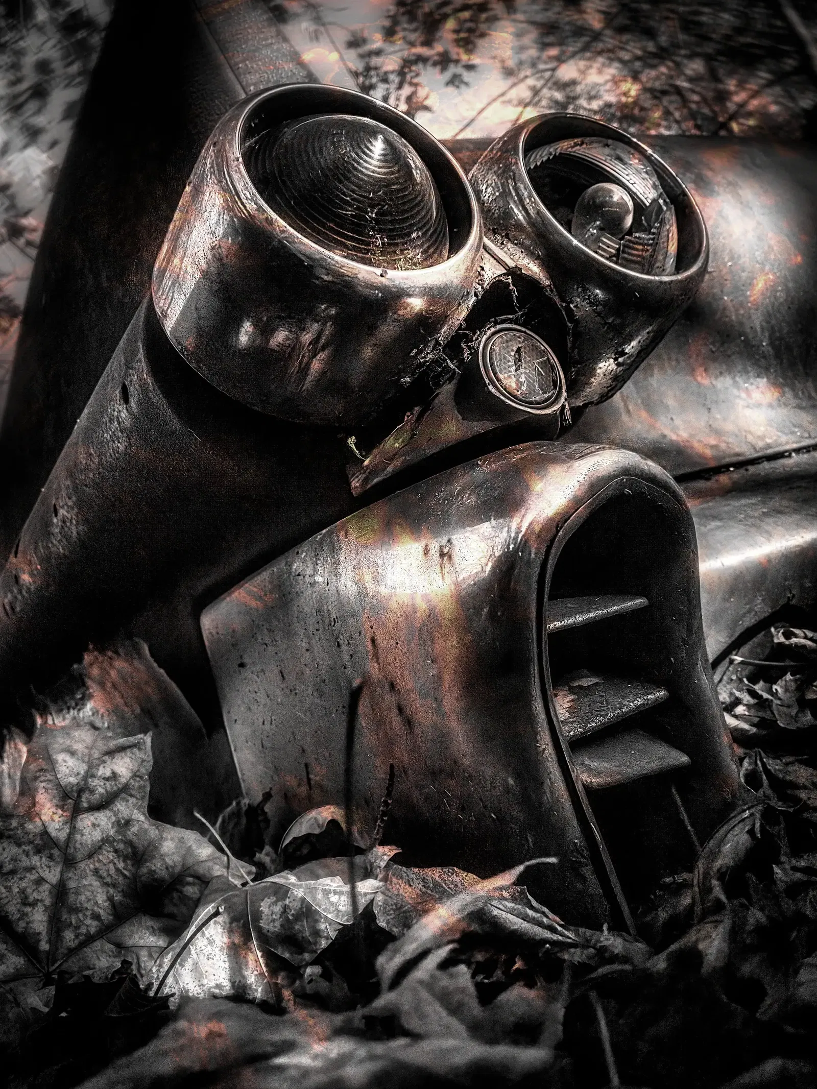 Photography project by Jerry Lofaro