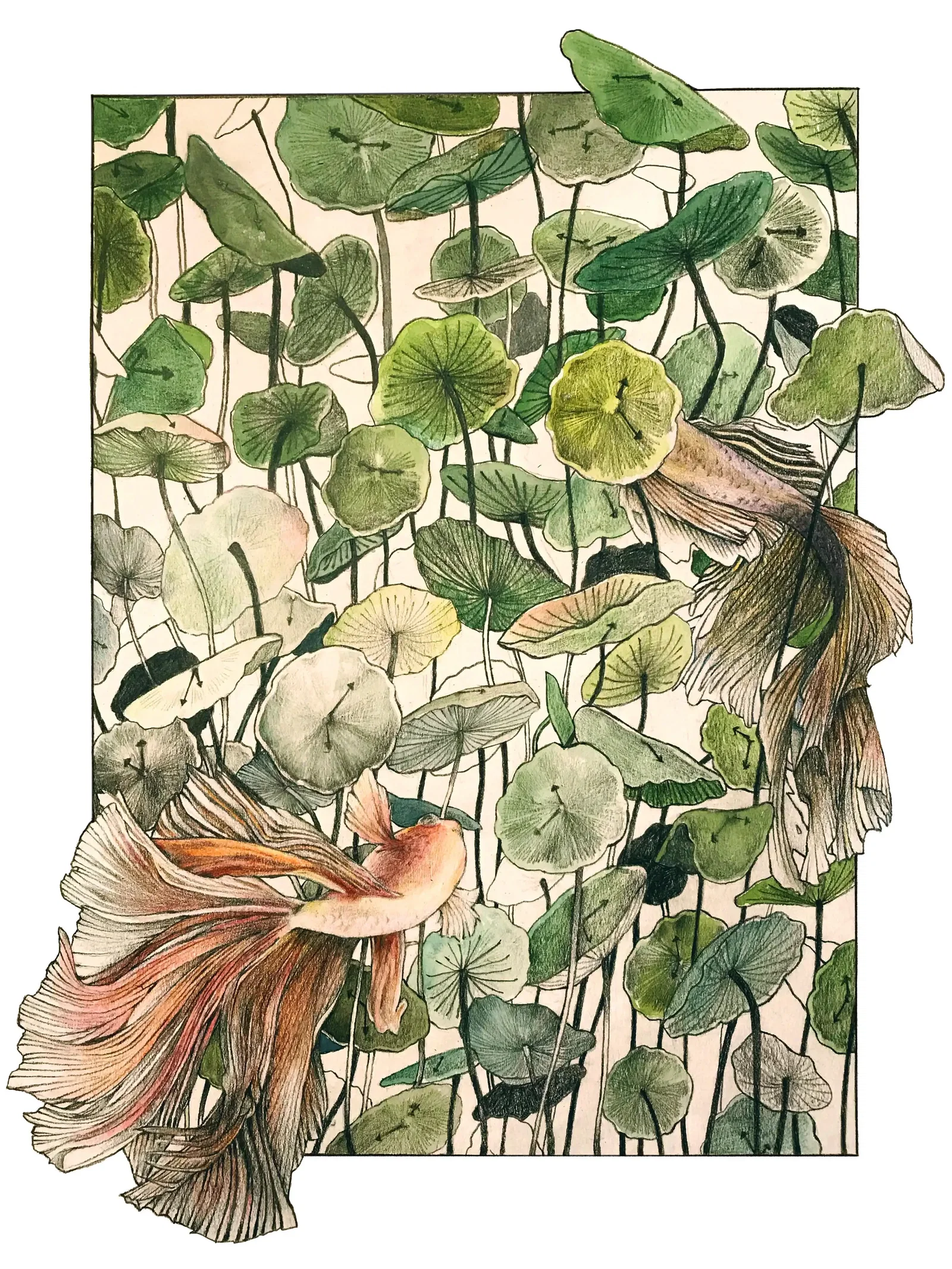 Illustration project by Zitong Zheng