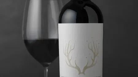  CF Napa Brand Design