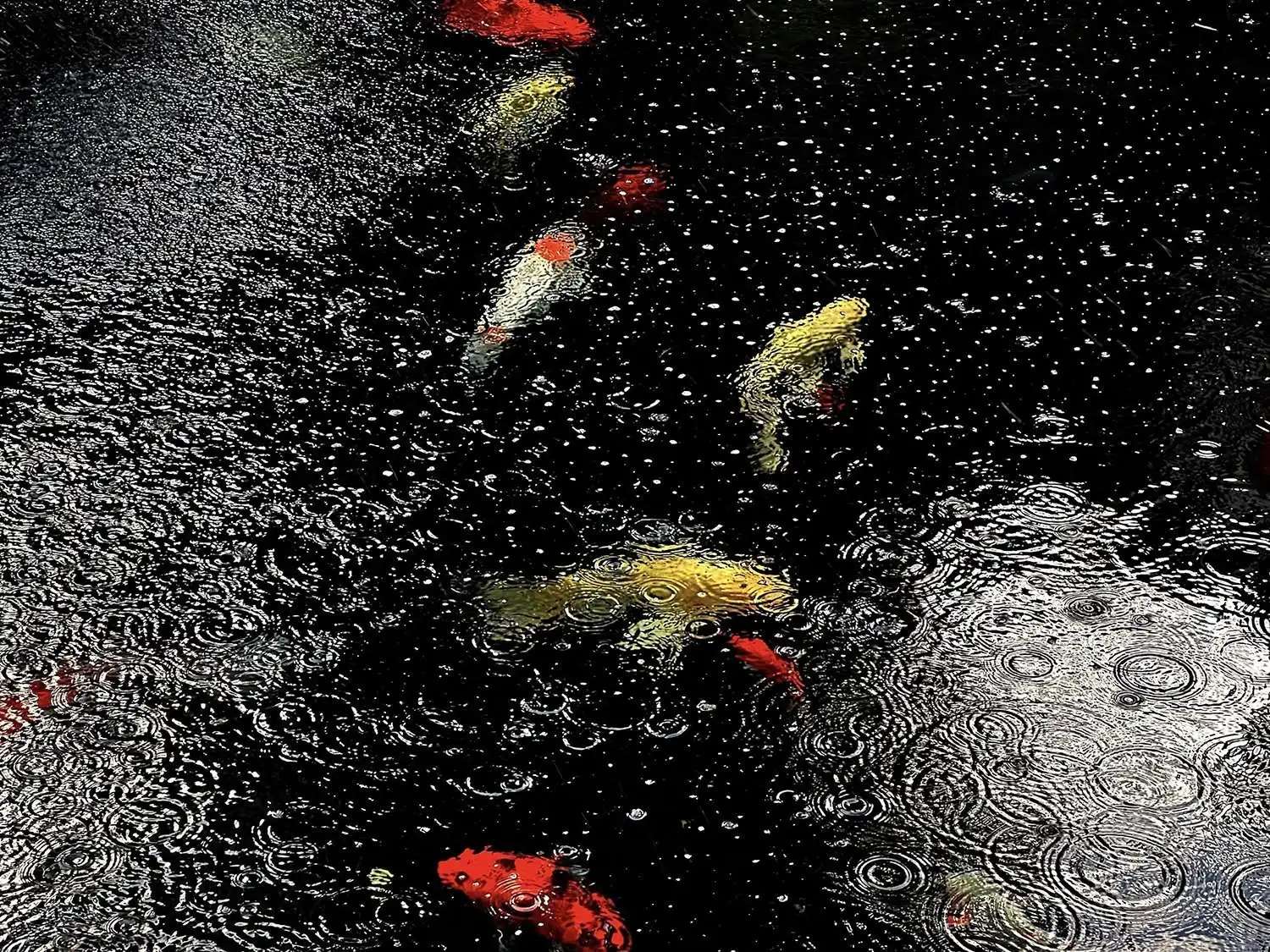 Photography project by Hsien-Chih Chuang