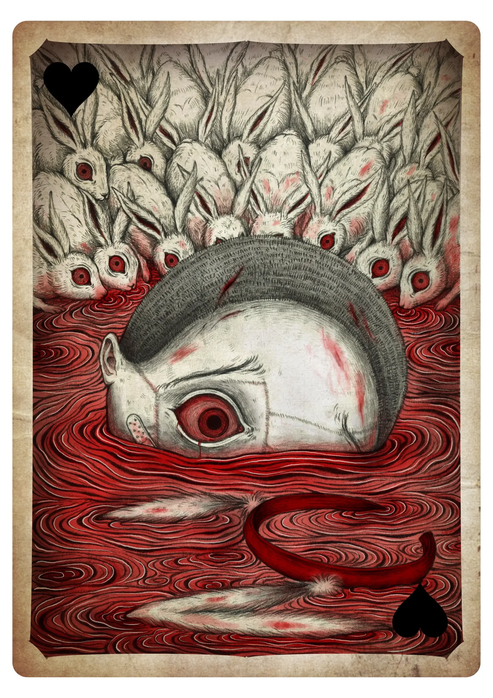 Illustration project by Yang Wang