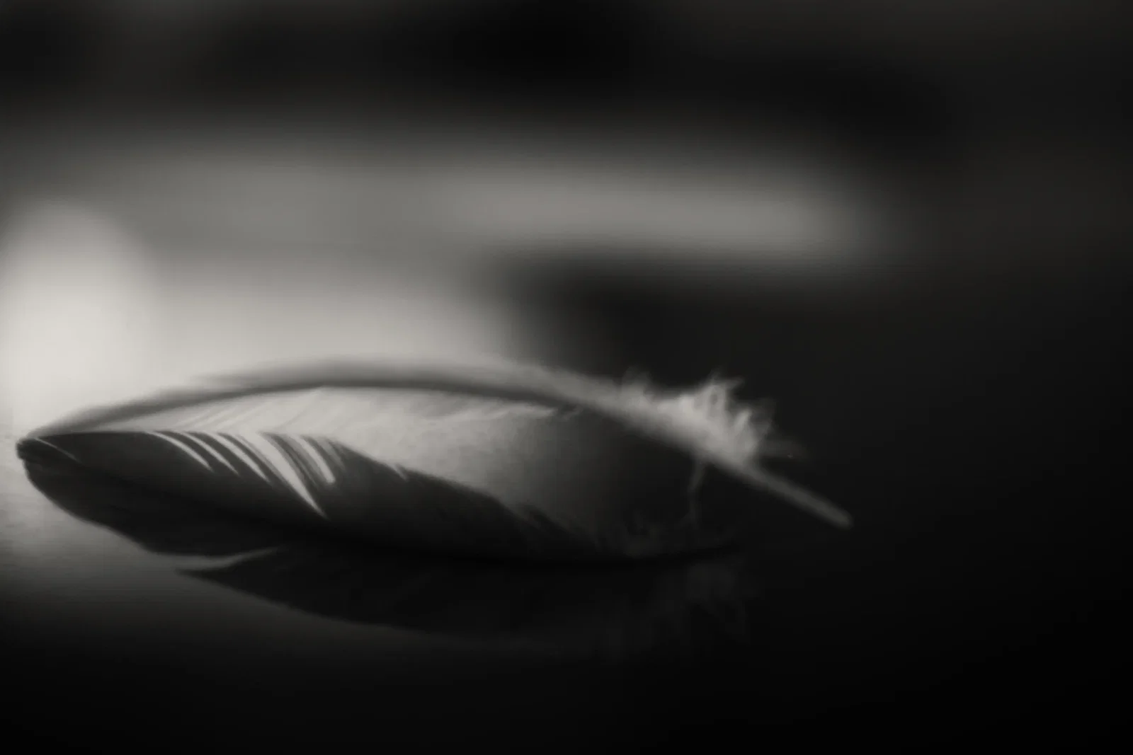 Photography project by Karin Forde Whittemore