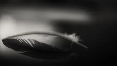 Karin Forde Whittemore