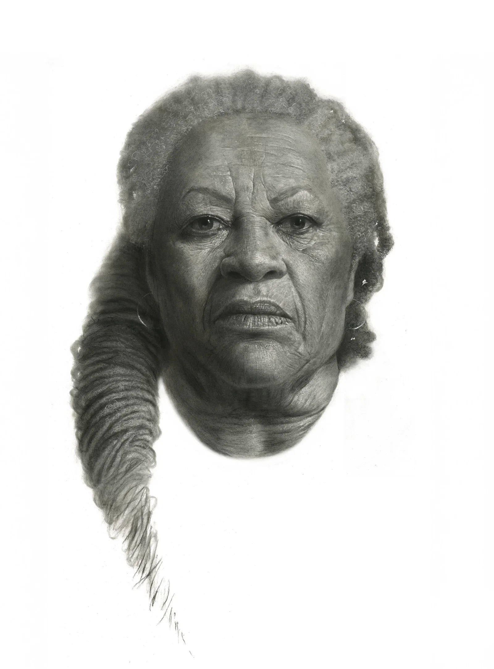 Illustration project by Dale Stephanos