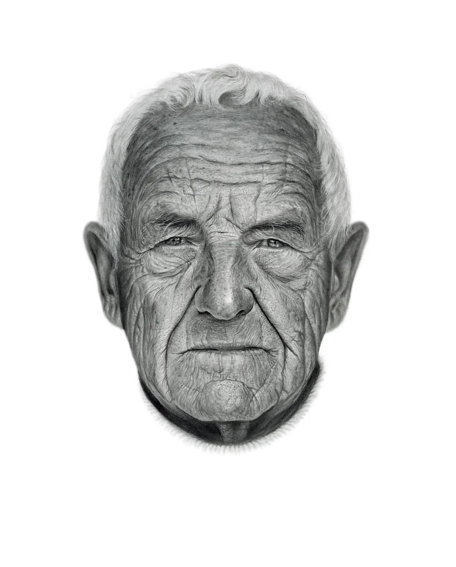 Illustration project by Dale Stephanos