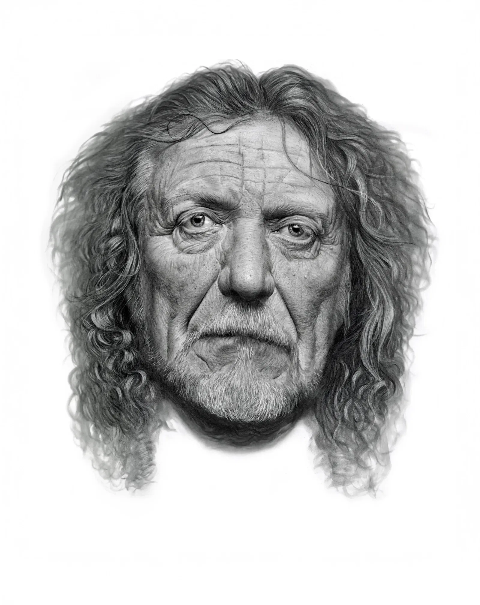 Illustration project by Dale Stephanos