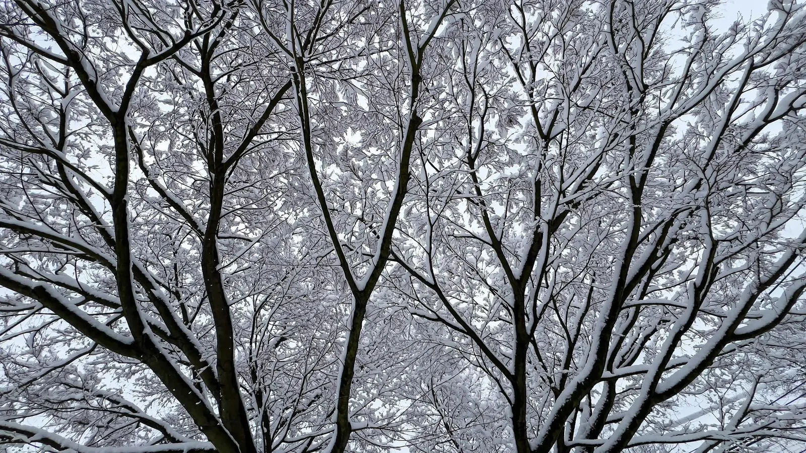 Photography project by Stephen McDowell