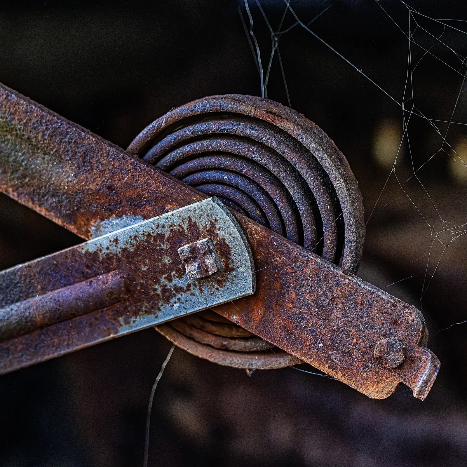 Photography project by Jerry Lofaro