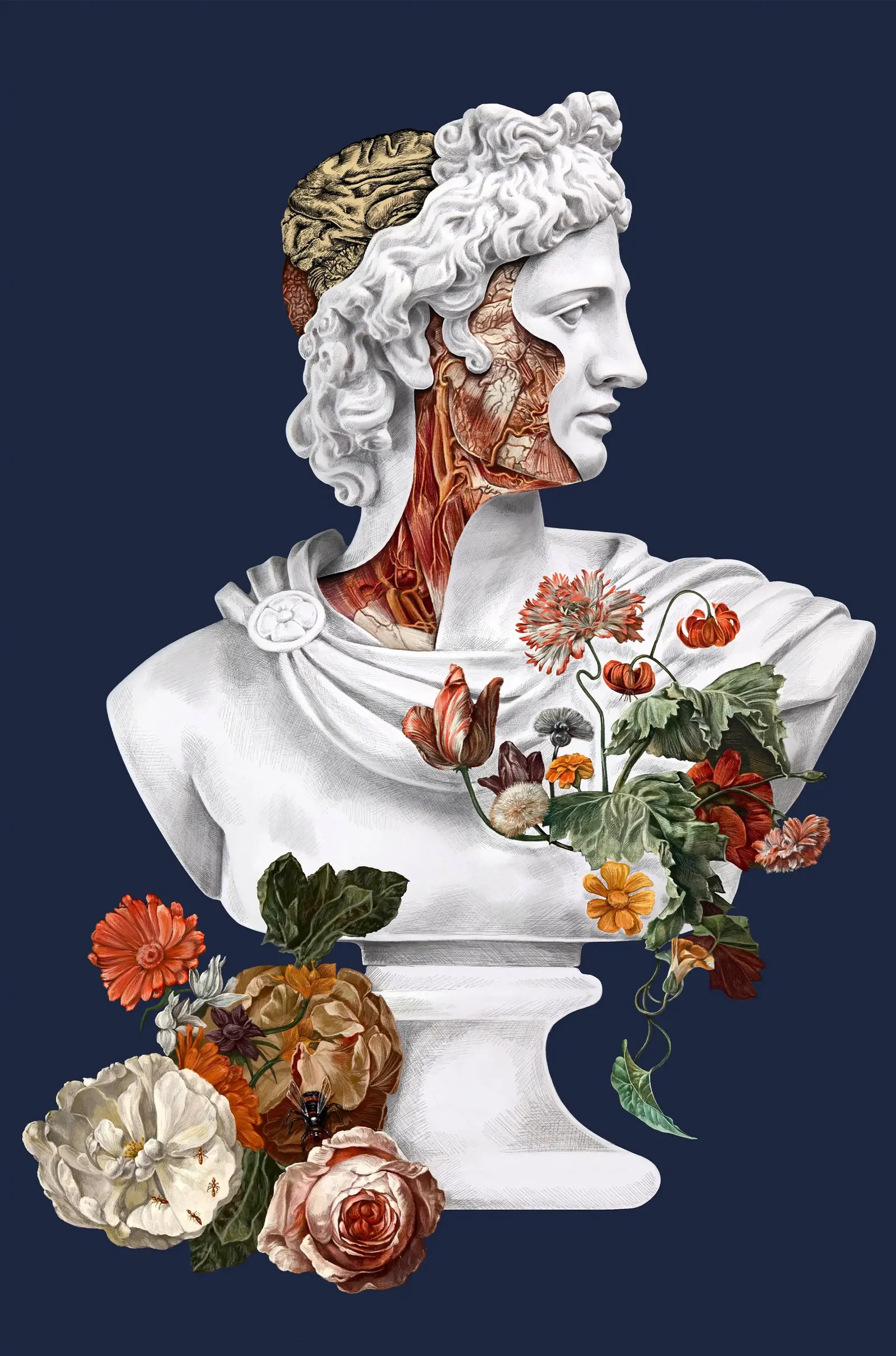 Illustration project by Gabriella Geida