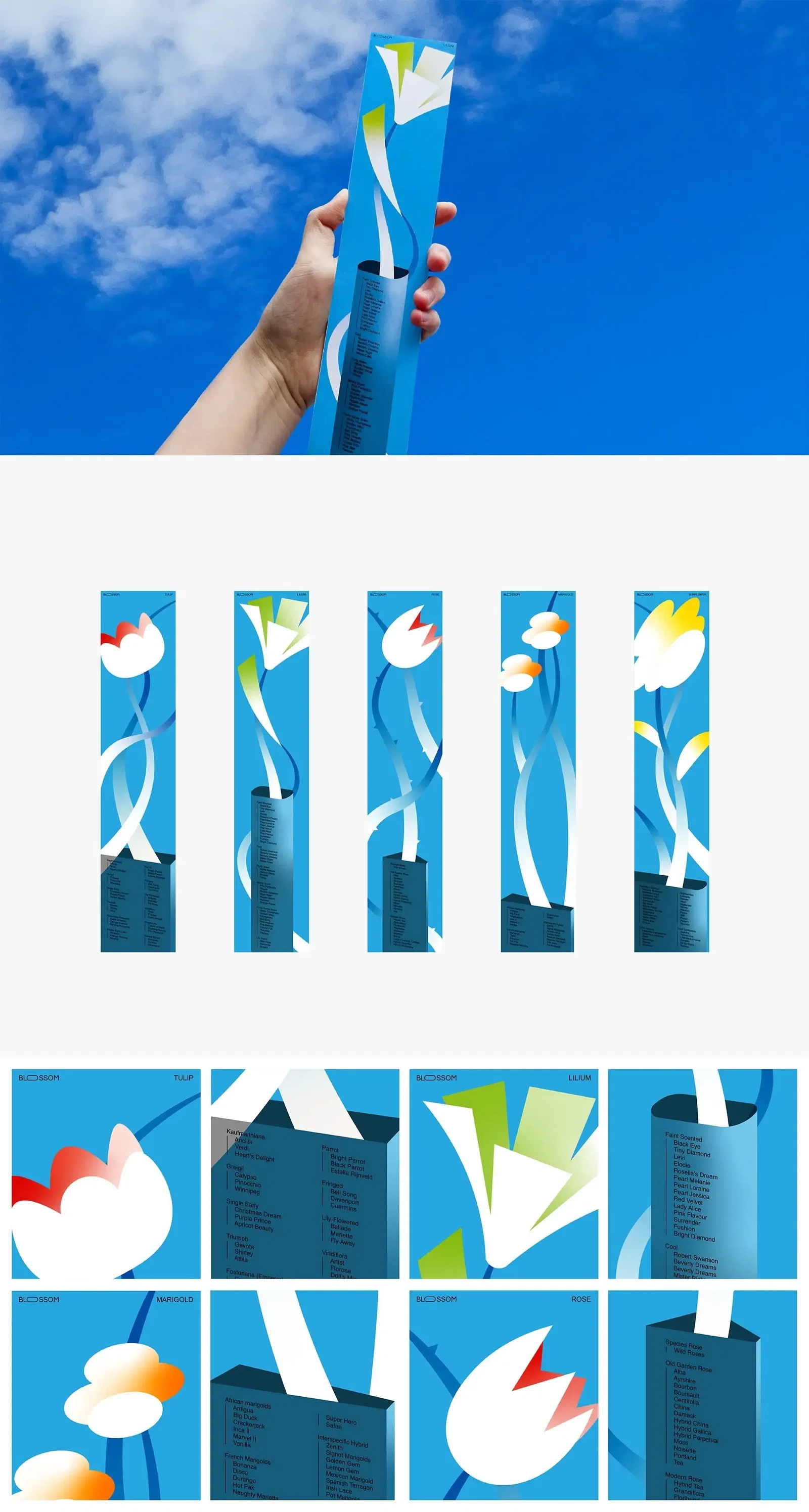 Graphic Design project by Lingfei Cao