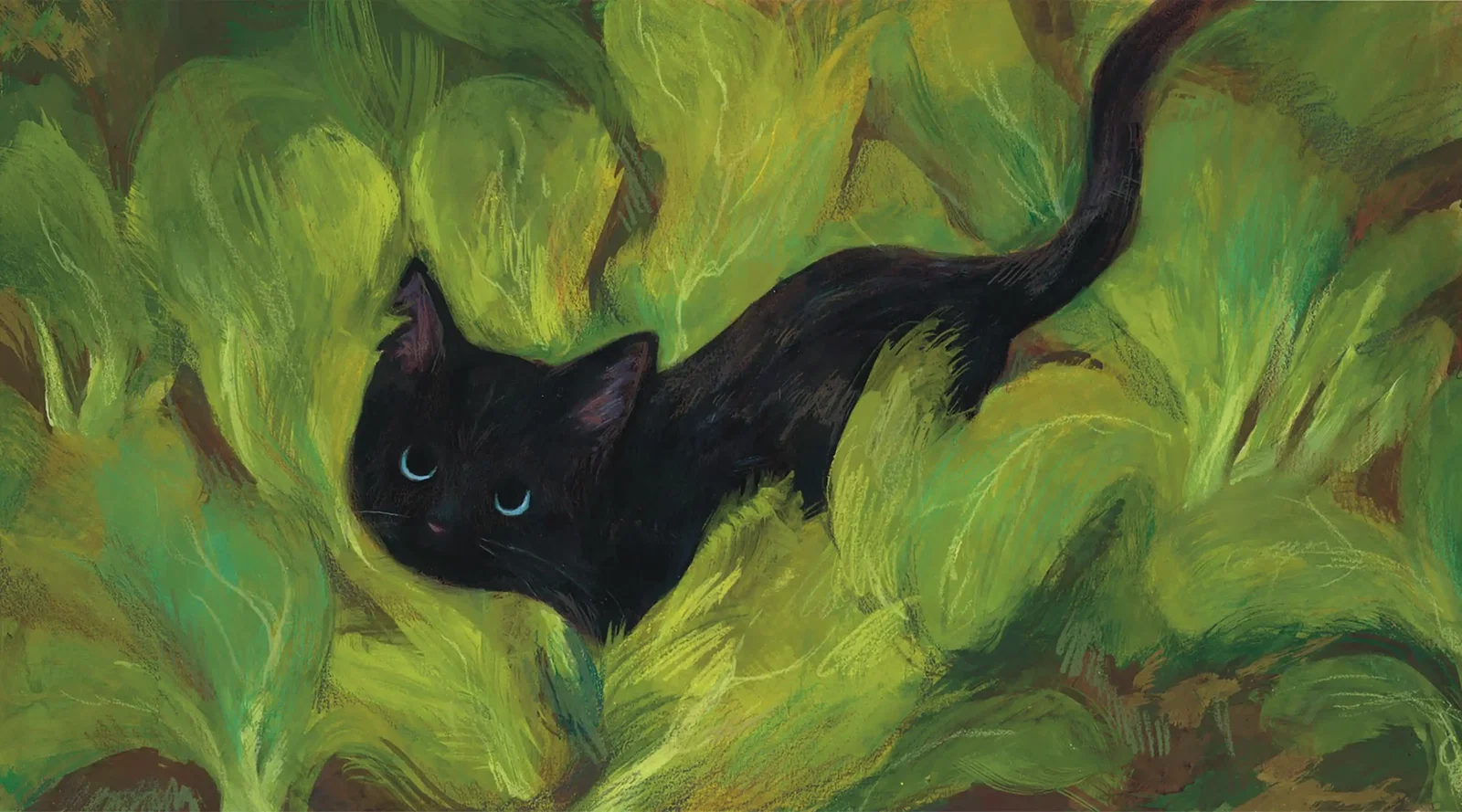 Illustration project by Elle Liu