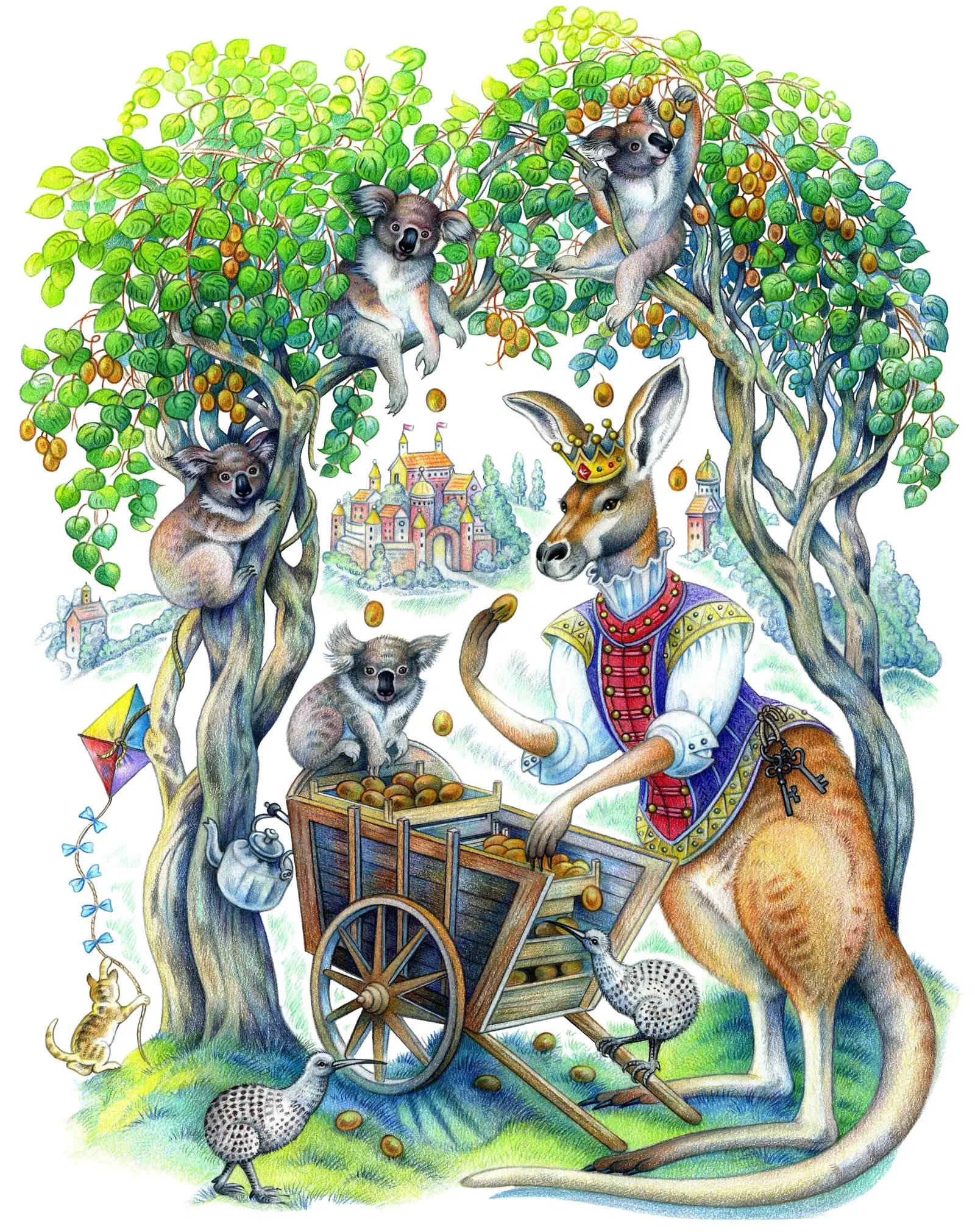 Illustration project by Sylvie Daigneault