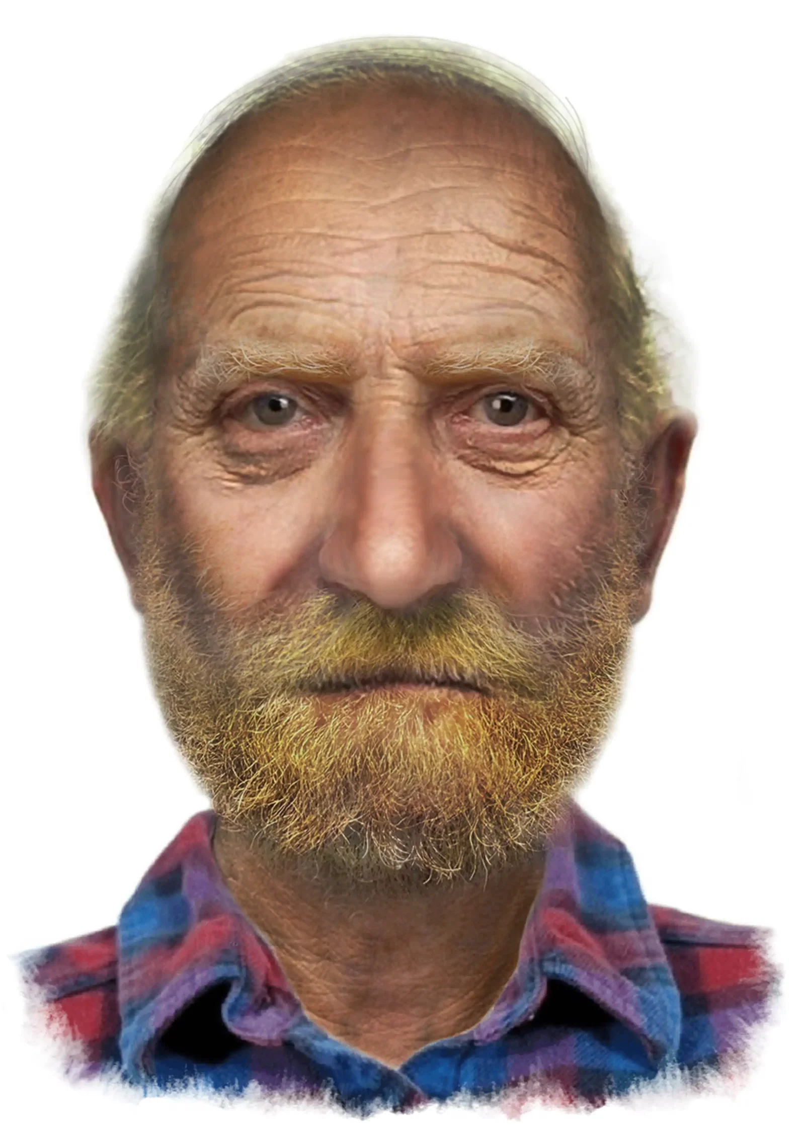 Illustration project by Larry Livaudais