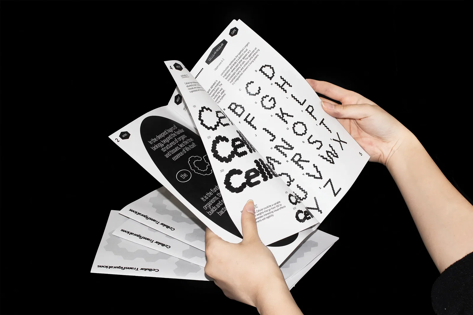 Graphic Design project by Tonia (Yuqi) Zhang