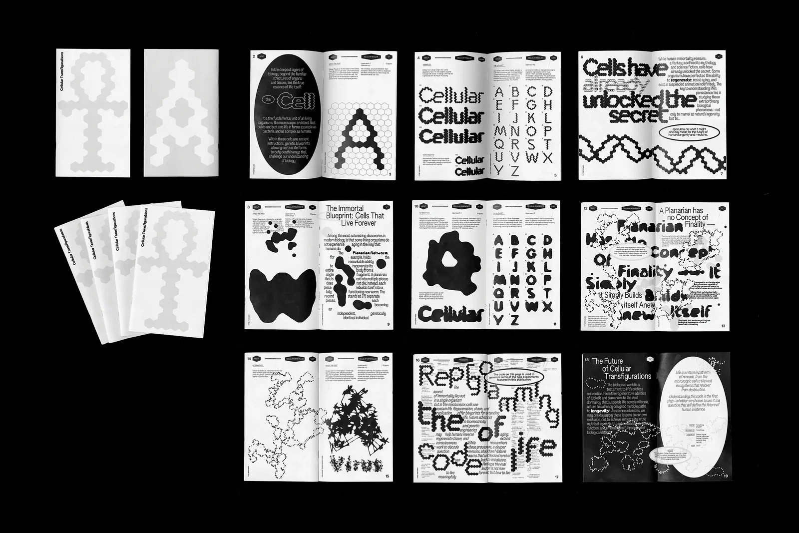 Graphic Design project by Tonia (Yuqi) Zhang