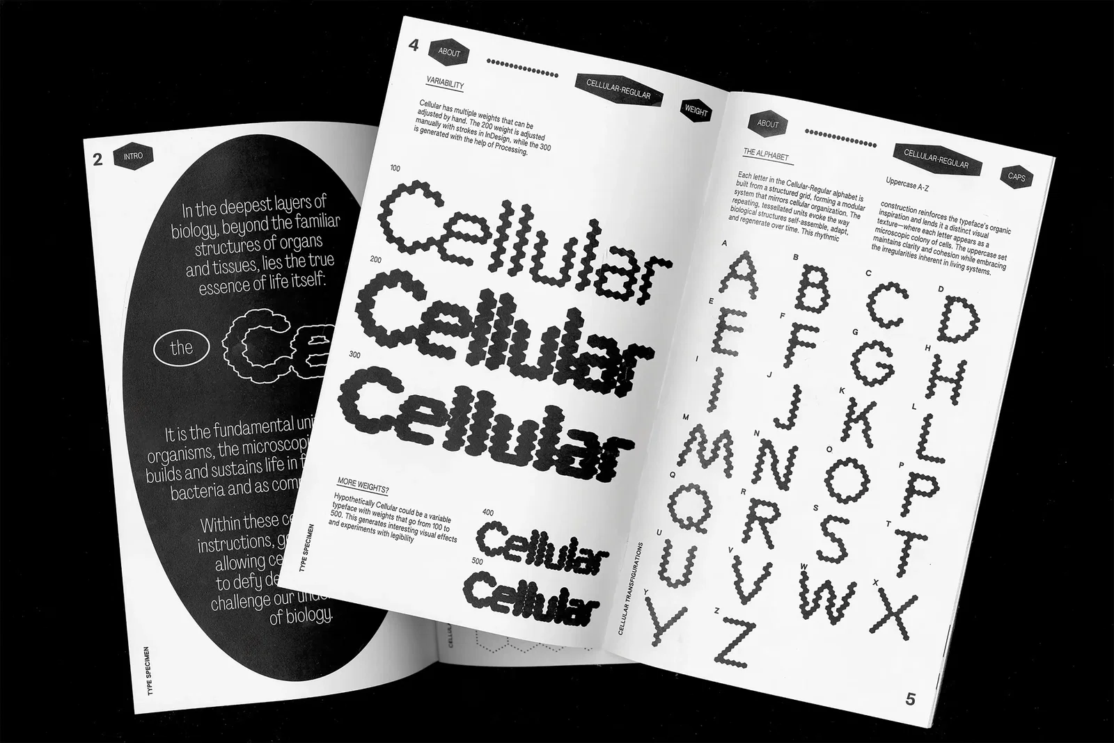 Graphic Design project by Tonia (Yuqi) Zhang