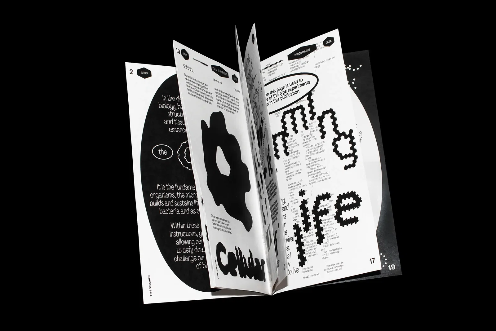 Graphic Design project by Tonia (Yuqi) Zhang