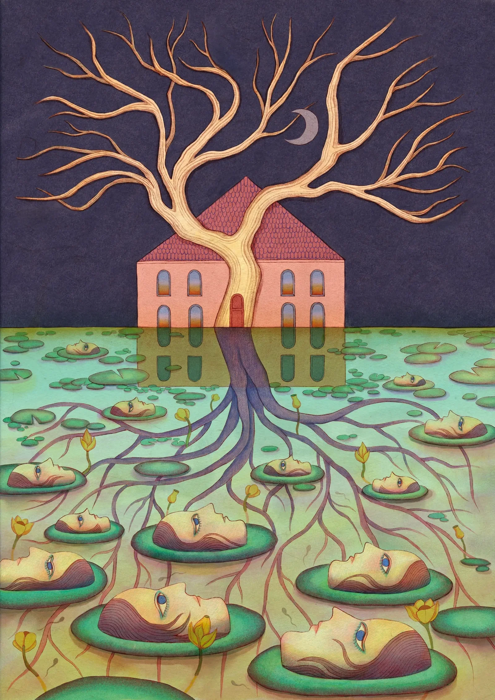 Illustration project by Leyla Cui