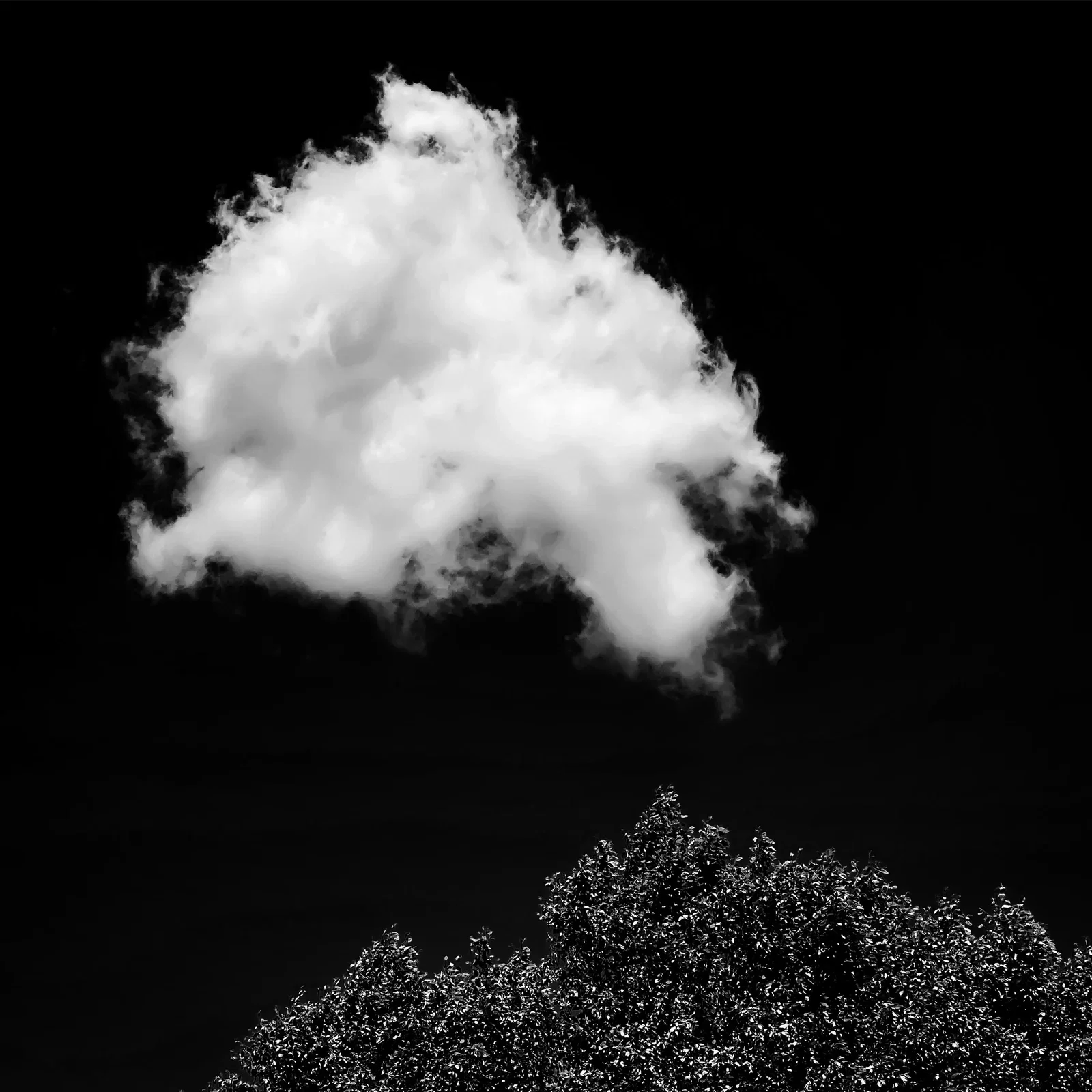 Photography project by Trevor Messersmith