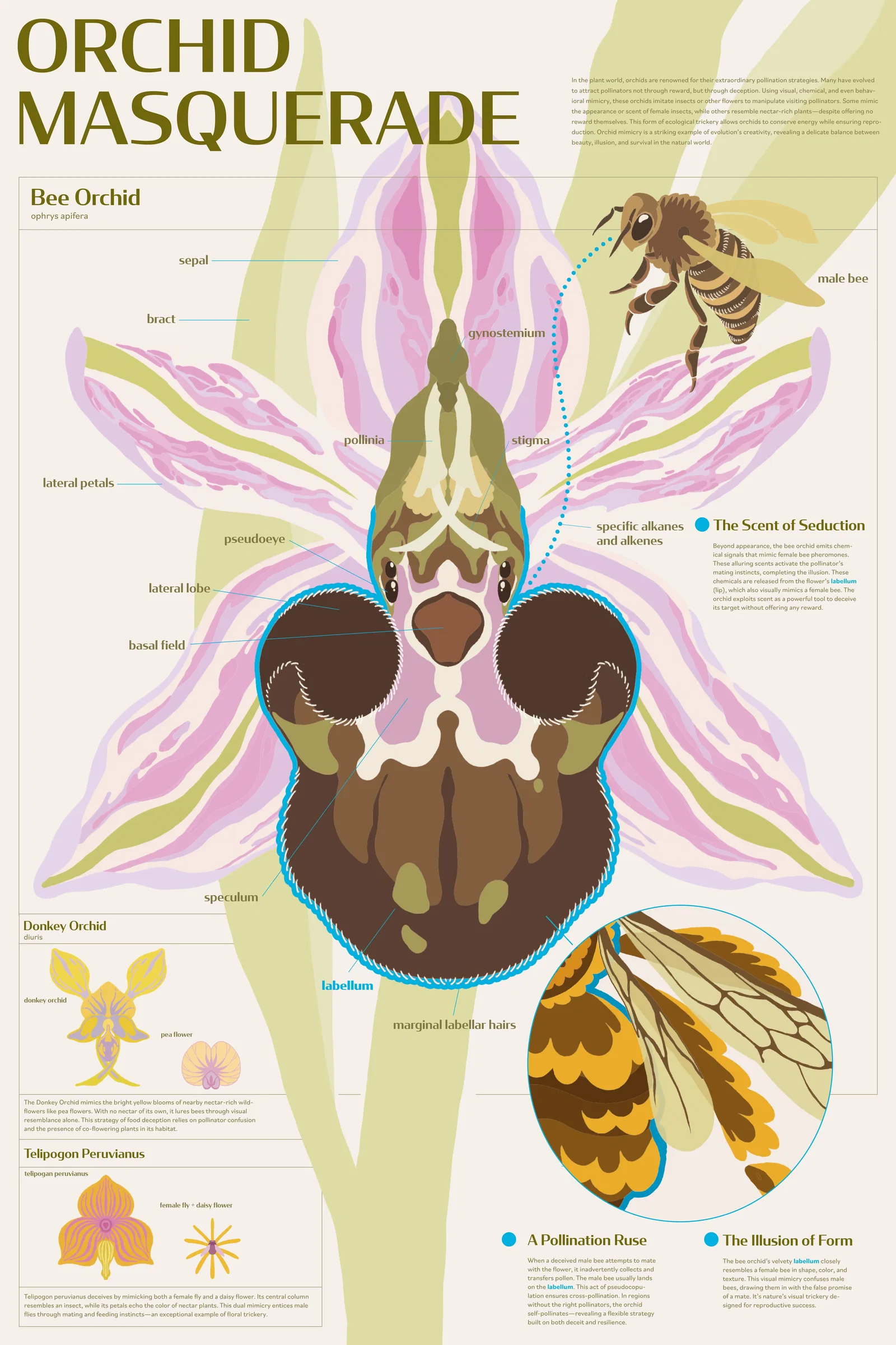 Graphic Design project by Wenqian Wu