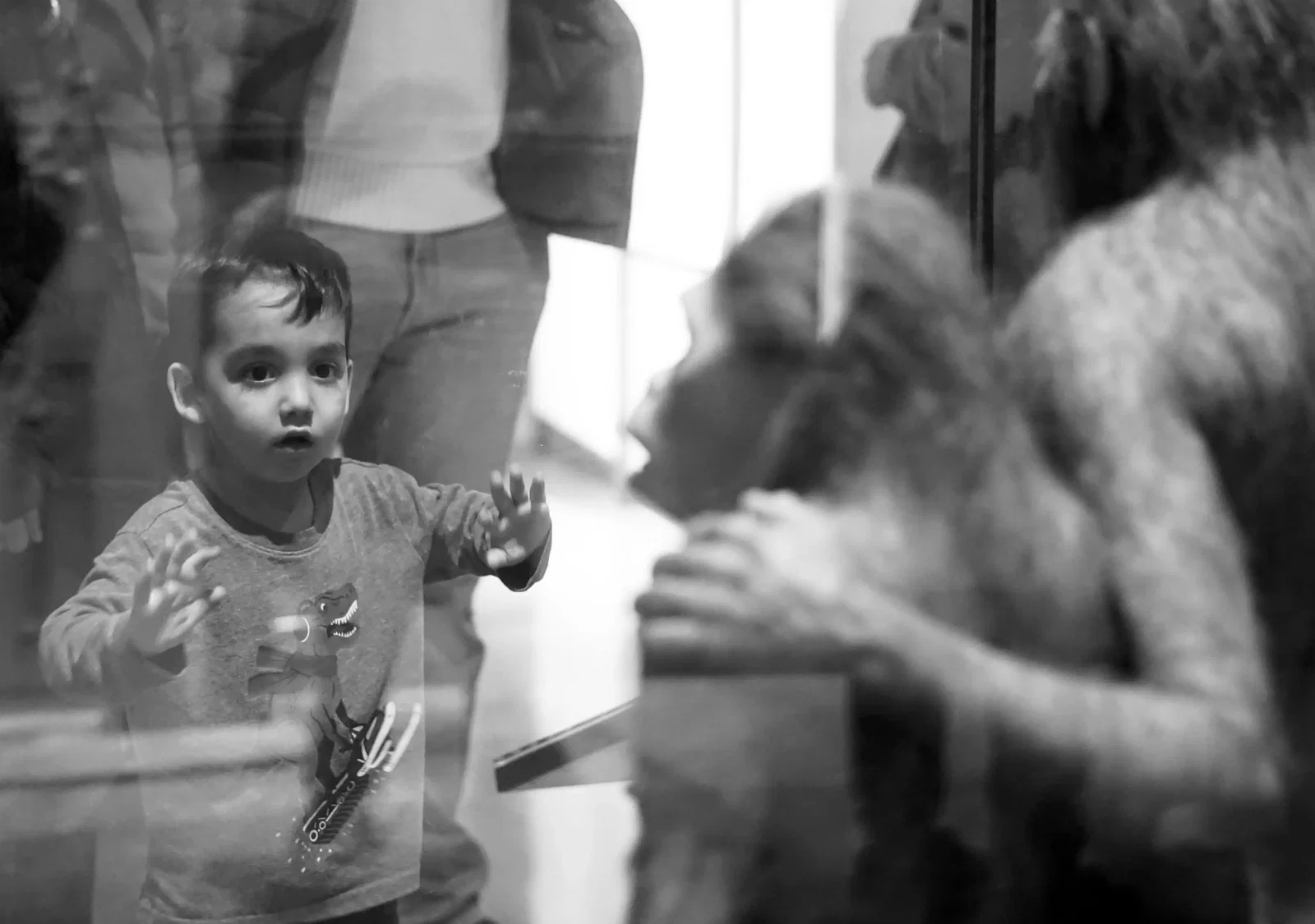 Photography project by Elina Mer
