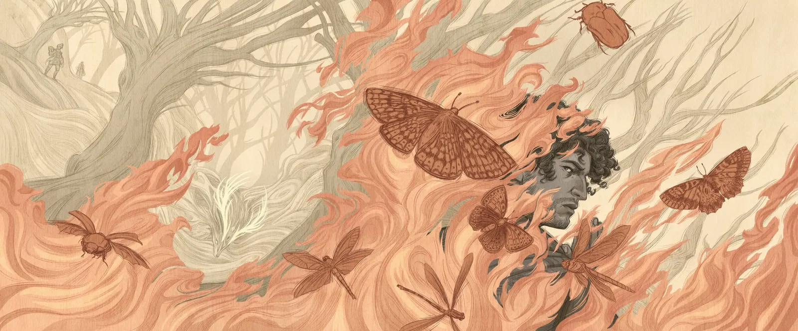 Illustration project by Elsa Velasco