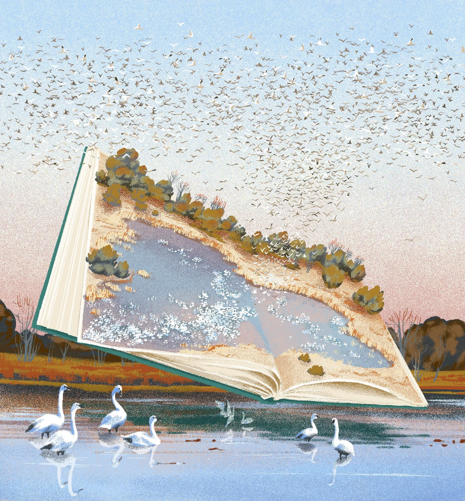 Illustration project by Andrea Cheung
