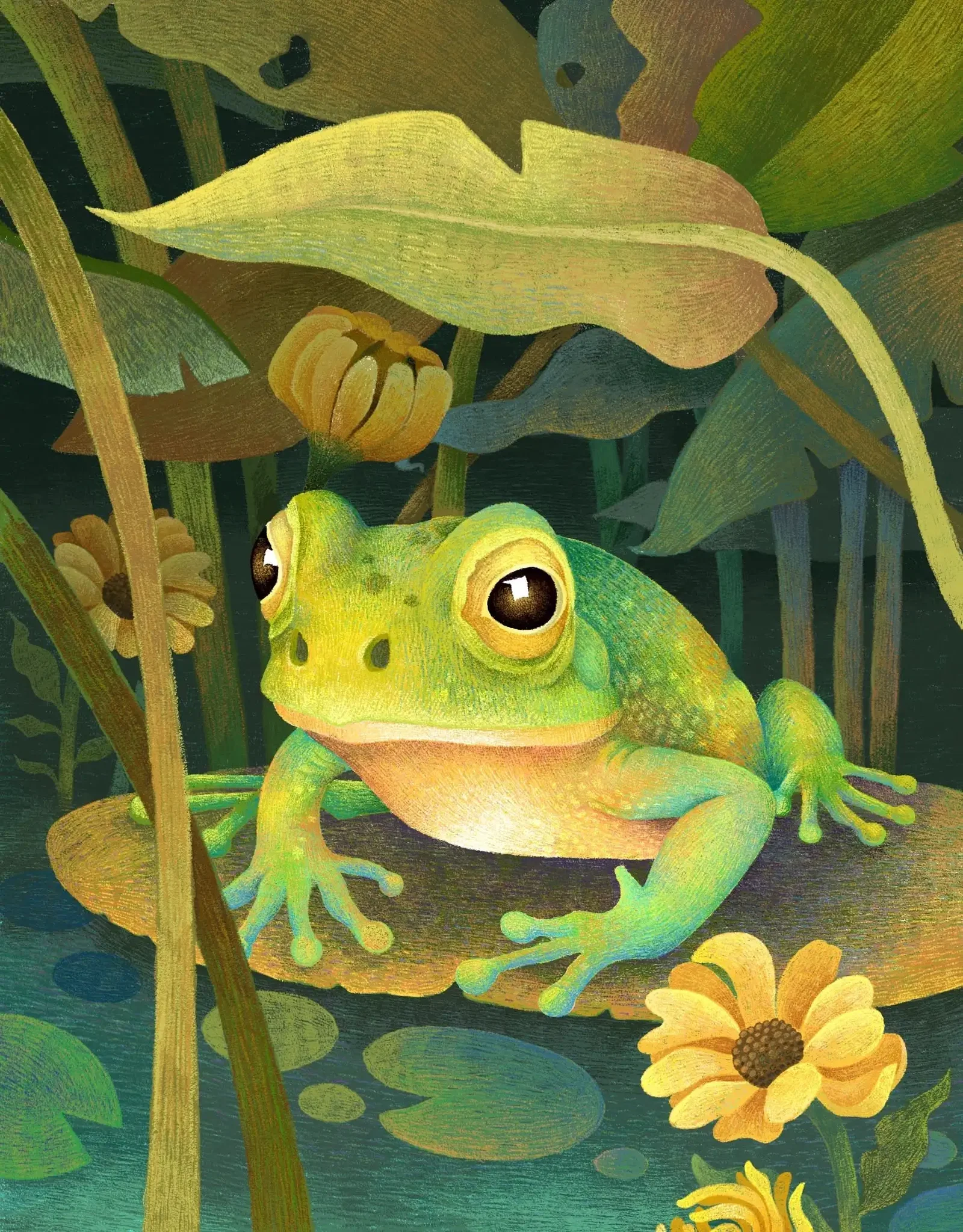 Illustration project by Anushua Sinha