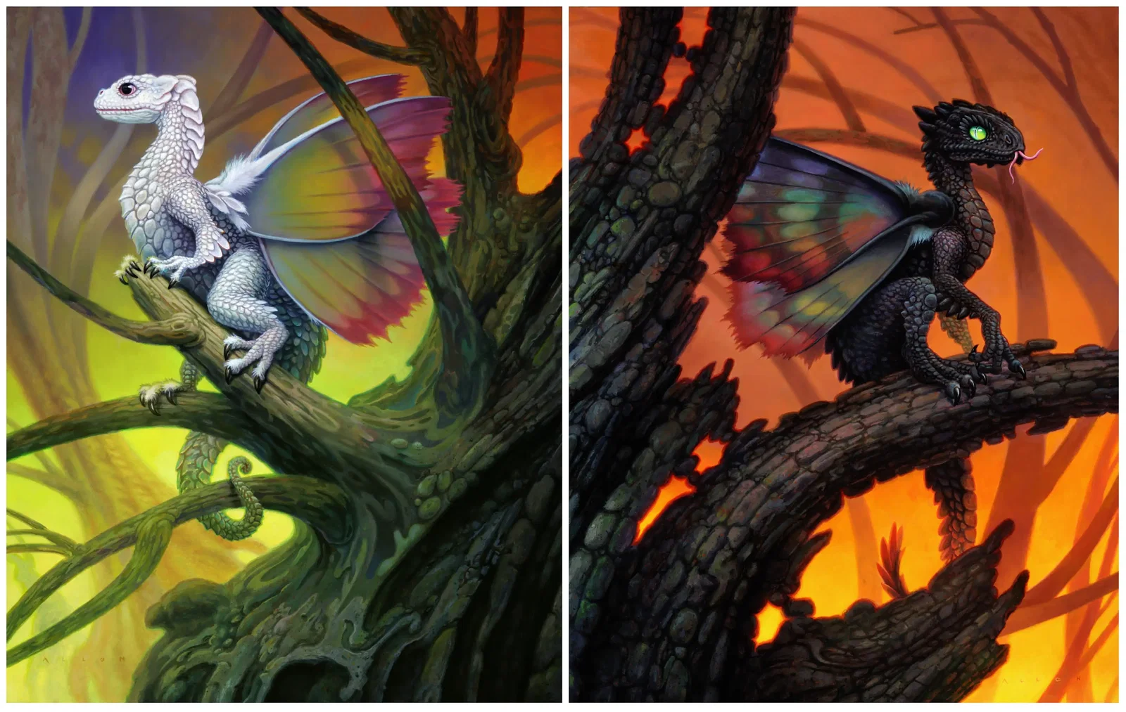 Illustration project by Allen Douglas