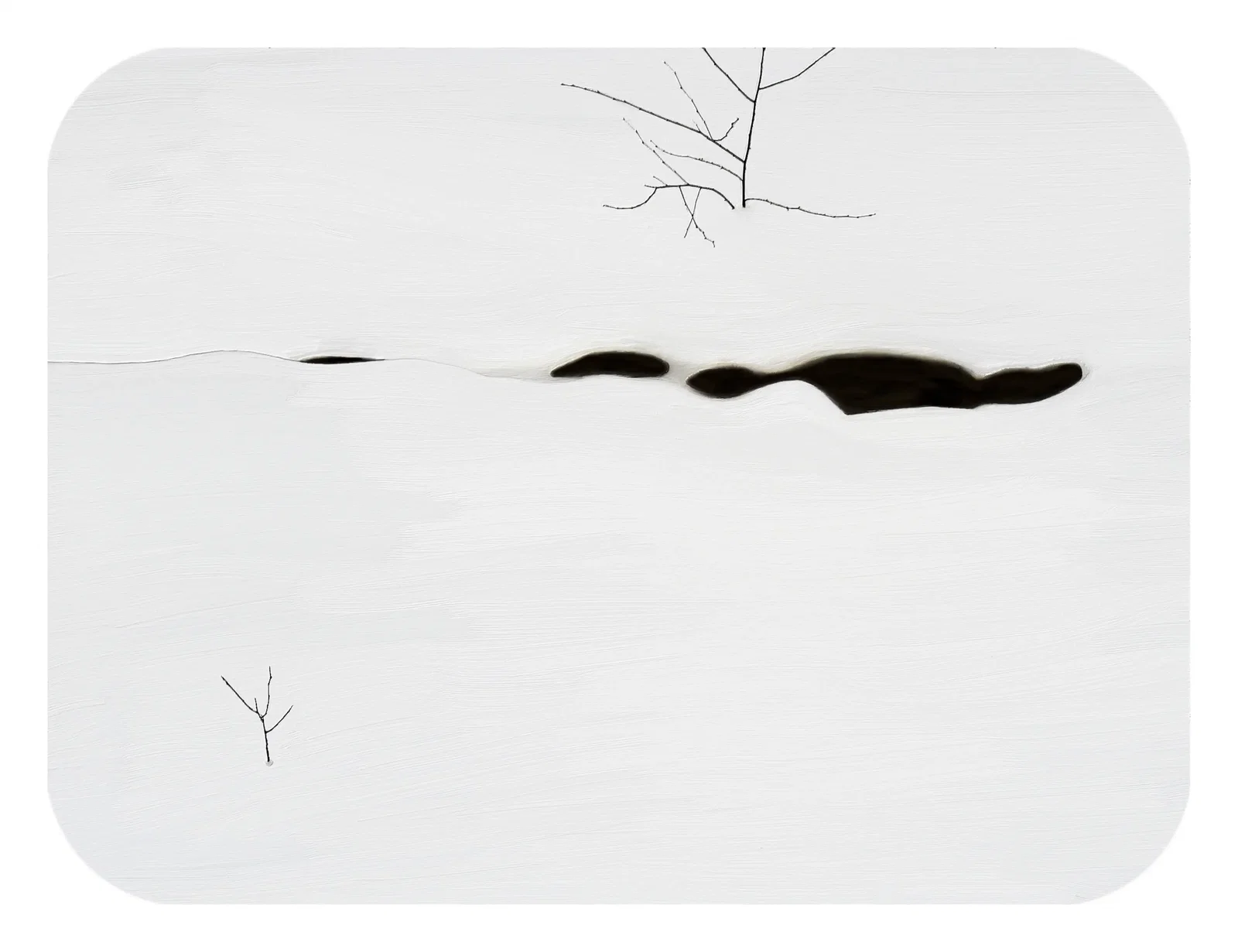 Fine Art project by Ronnie McClure