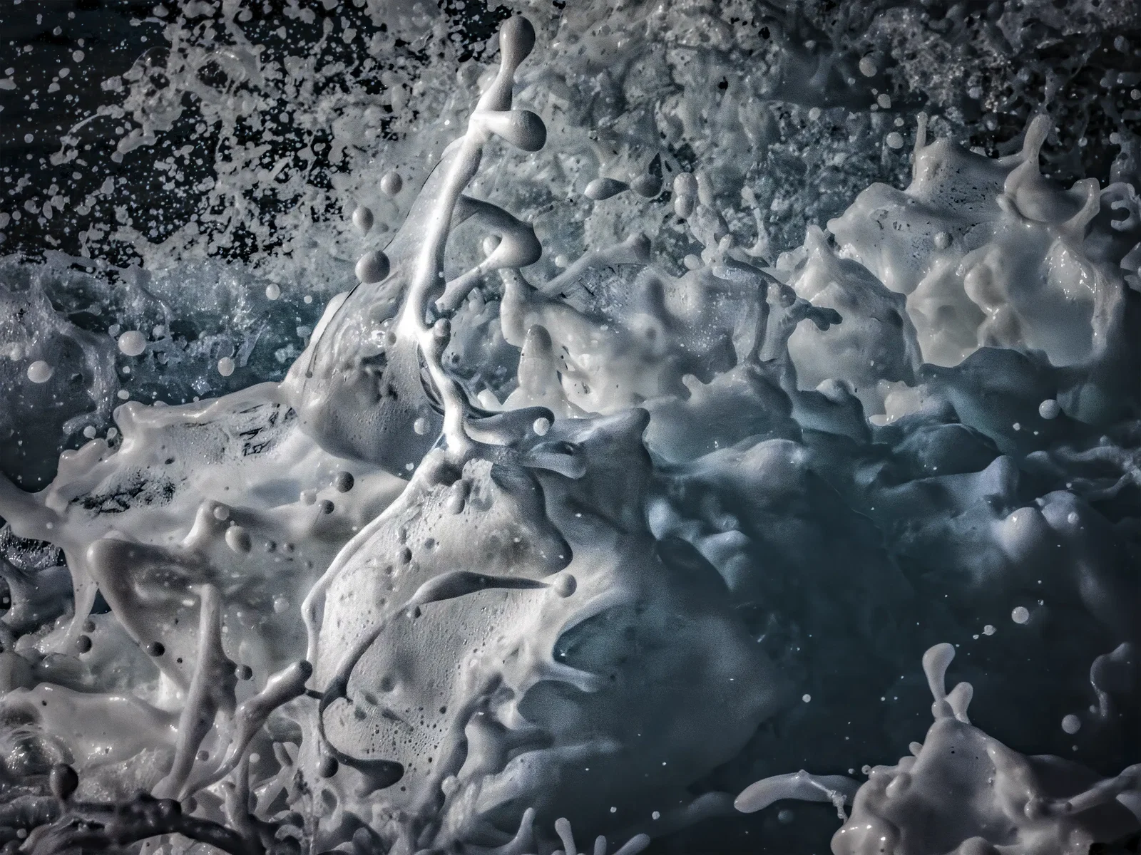 Photography project by Shingo Ohta