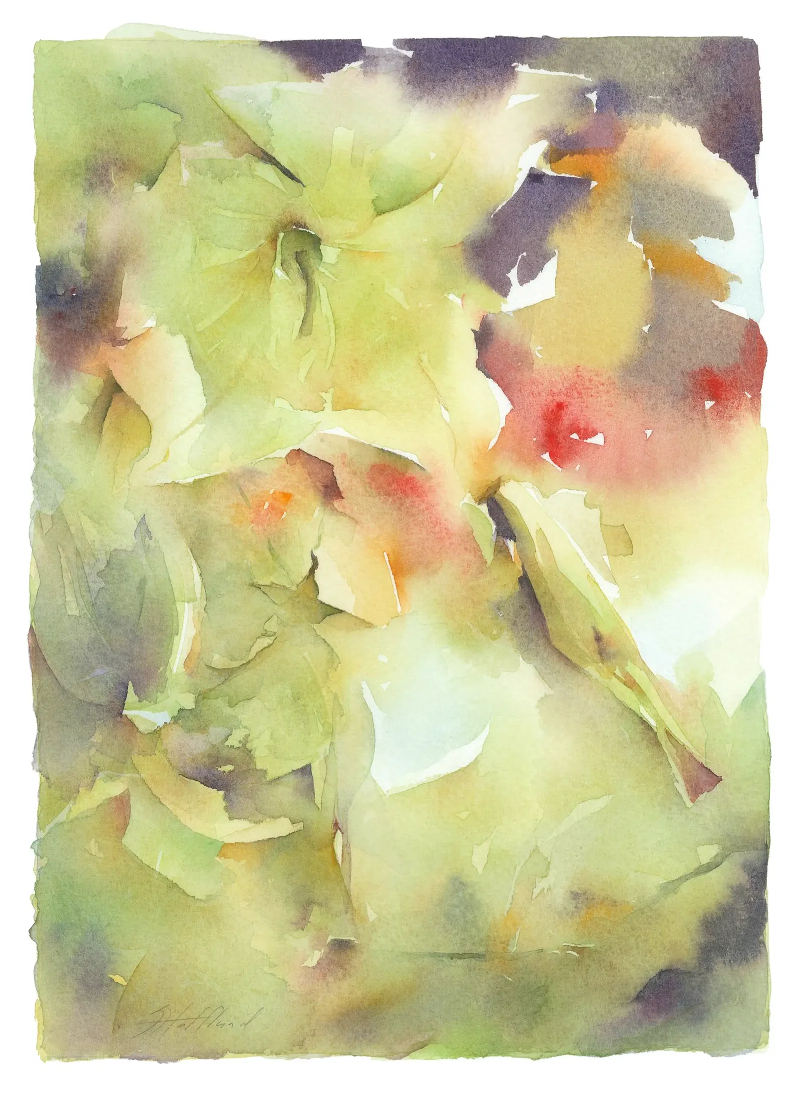 Fine Art project by Sylvia Hofflund