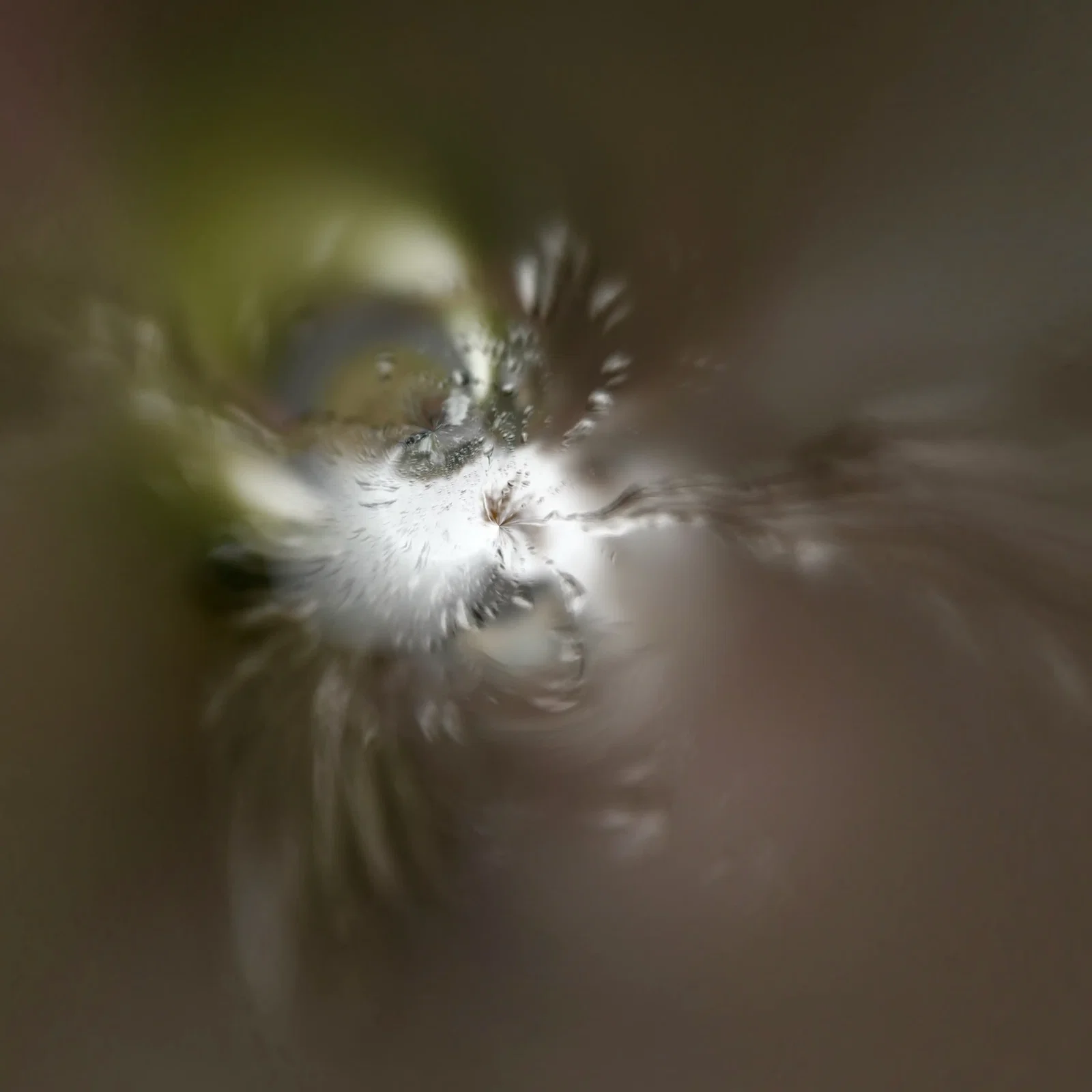Photography project by Suzan Mandla