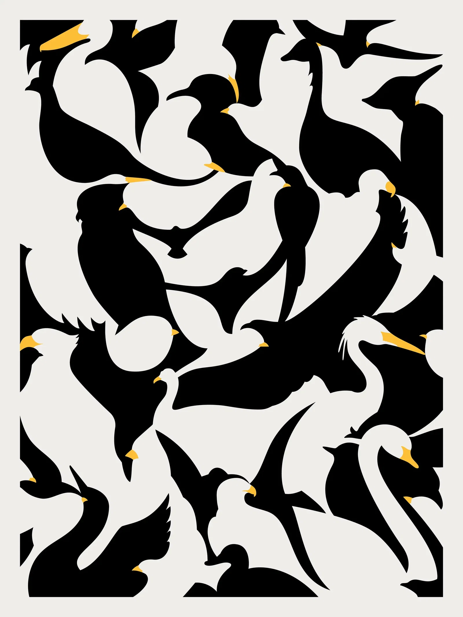 Illustration project by Cheryl Tronson