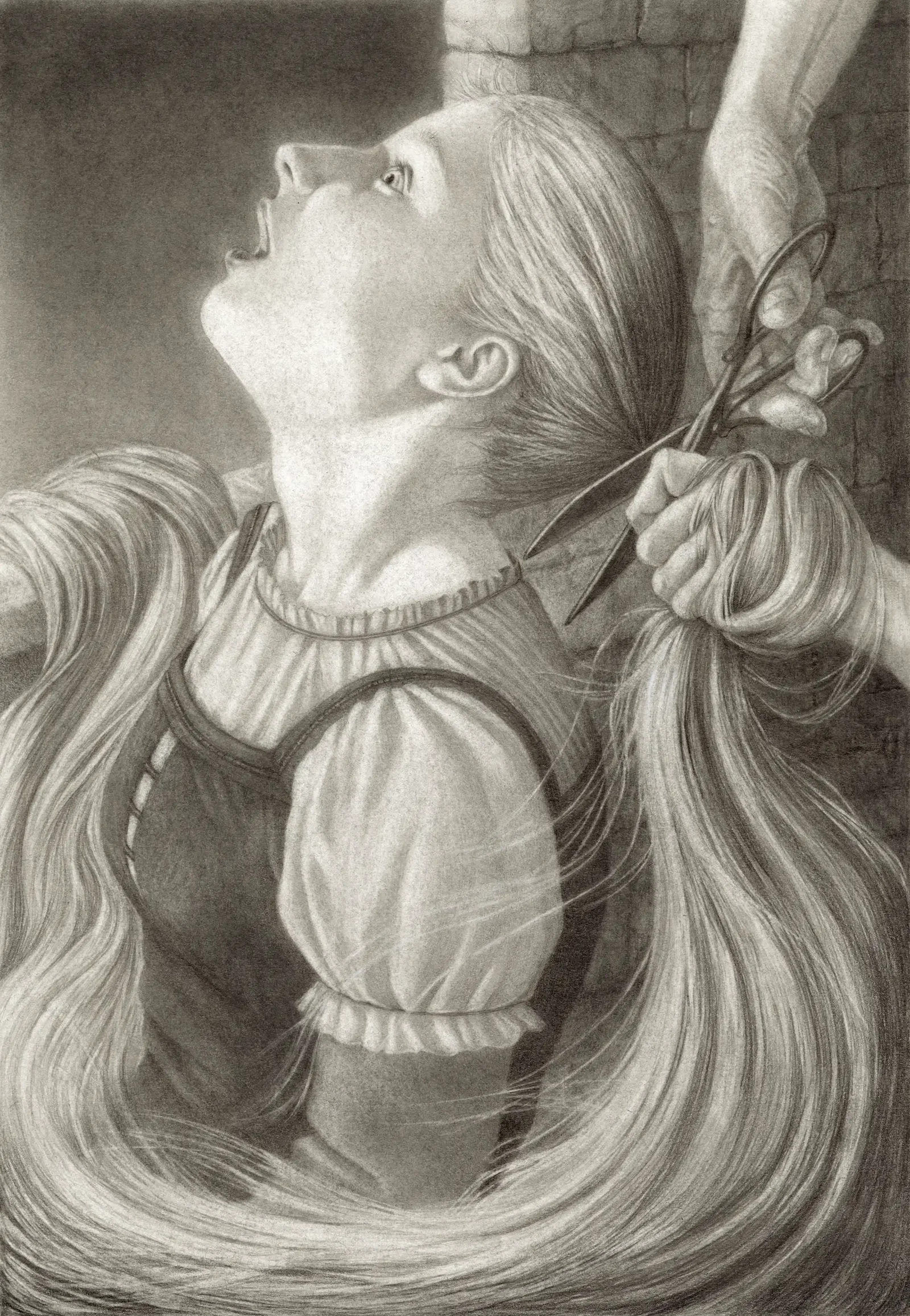 Illustration project by Mary Jane Begin