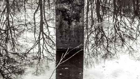 Marcel van Beek