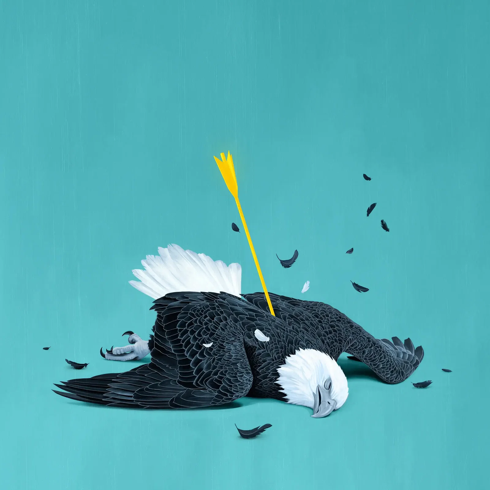 Illustration project by Robert Carter