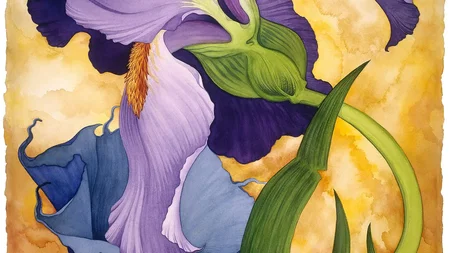 Janet Claire Brooks