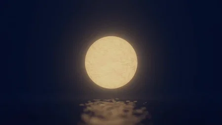 Ruoshui Yang